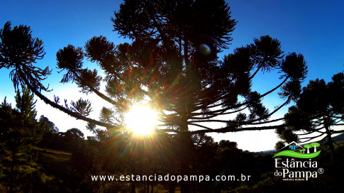 DOS EÓLICOS VIRA P FAZENDA_Moment.00_04_13_11.Quadro409_aaba305e5b94a0c4d8f79d7f9a1b48dd6746cd8f.jpg